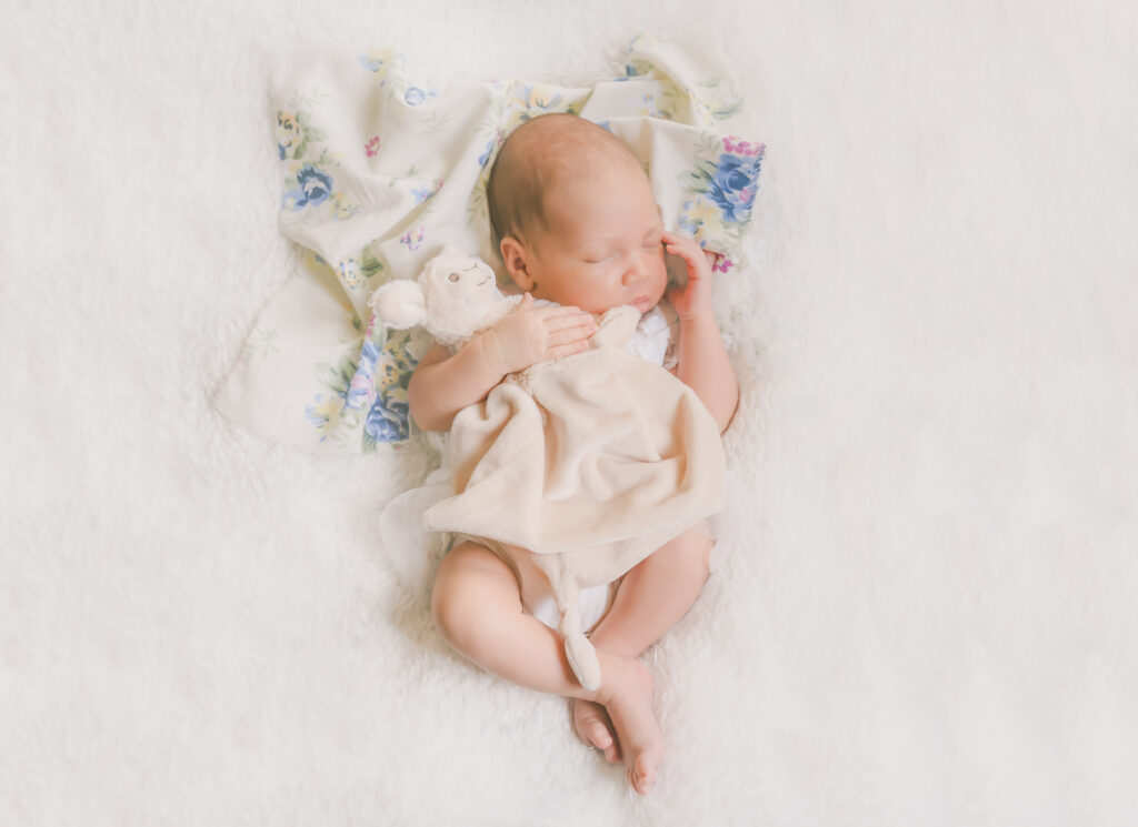 Deze afbeelding heeft een leeg alt-attribuut; de bestandsnaam is Eleanor-18-2-1024x745.jpg